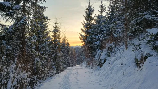 Sonnenuntergang &uuml;ber einem Weg im Schnee