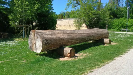 Kapitaler Baumstamm, Schloss Esterh&aacute;zy