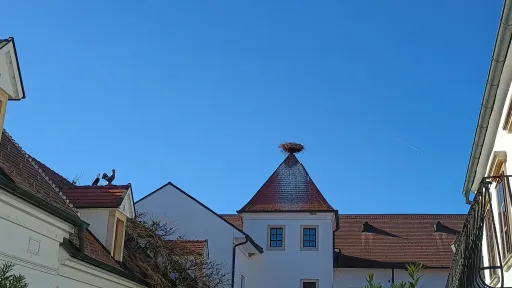 Storchennest, Rust am Neusiedler See