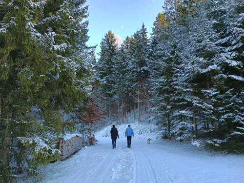 Zwei Personen gehen durch den winterlichen Wald